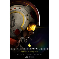Star Wars Luke Skywalker: Red Five X-wing Pilot