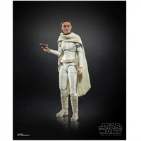 Star Wars The Black Series 6-Inch Action Figure - Padme Amidala