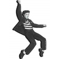 Elvis Funky Chunky Magnet