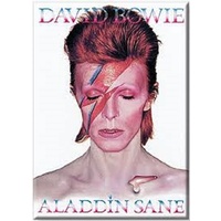 David Bowie Aladdin Sane Magnet