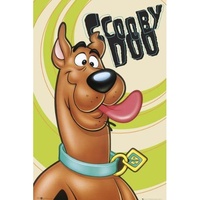 Scooby Doo Solo Poster #47