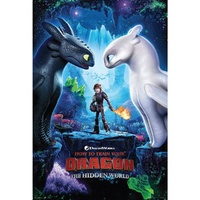 How to Train Your Dragon 3 Poster #13