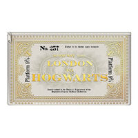 Harry Potter - Hogwarts Express Ticket Pencil Case