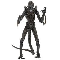 Aliens Ultimate Aliens Warrior 1986 7-Inch Figure - Brown