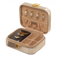 Wonder Woman - Jewellery Set & Case