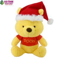 WINNIE THE POOH WITH SANTA HAT
