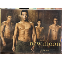 The Twilight Saga - New Moon Wolf Pack Promo Trading Cards - SEALED 5 - San Diego Con 2009