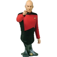 Star Trek TNG Captain Picard Patrick Stewart 8” Bust Statue
