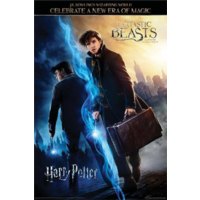 Wizarding World Poster - Harry Potter & Fantastic Beasts #48