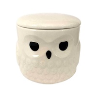 Harry Potter - Hedwig Mug with Lid - By Our Name is Mud
