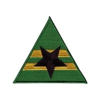 Firefly TV Series/Serenity Movie Browncoats Logo 4" Patch