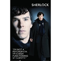 Sherlock Sociopath poster #4