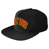 GUNS N ROSES LOGO CAP
