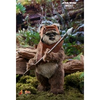 Star Wars - Wicket Return of the Jedi 1:6 Scale Acton Figure (Free Shipping)