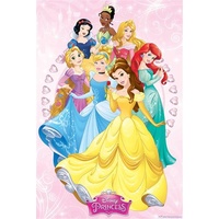 Disney Princess Group Poster #8