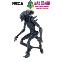 Aliens vs Predator Arachnoid Alien 7" Scale Action Figure