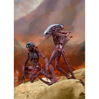 Neca - Aliens - Genocide Big Chap & Dog Alien 7" Action Figure 2 Pack