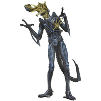 Aliens - 7" Series 12 Action Figure Blue Xenomorph Battle Damaged Warrior