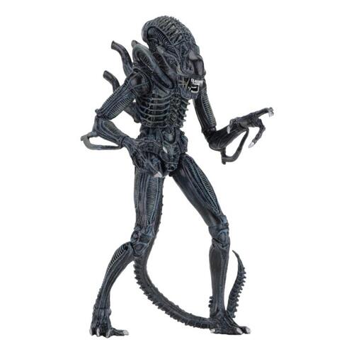 Aliens Ultimate Aliens Warrior 1986 7-Inch Figure - Blue