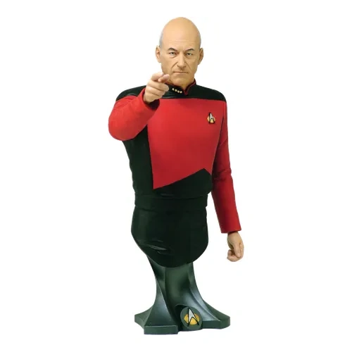 Star Trek TNG 8” Bust Statue - Captain Picard Patrick Stewart 
