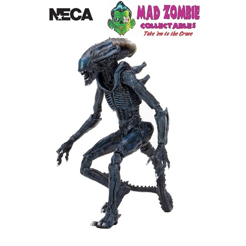 Aliens vs Predator Arachnoid Alien 7" Scale Action Figure