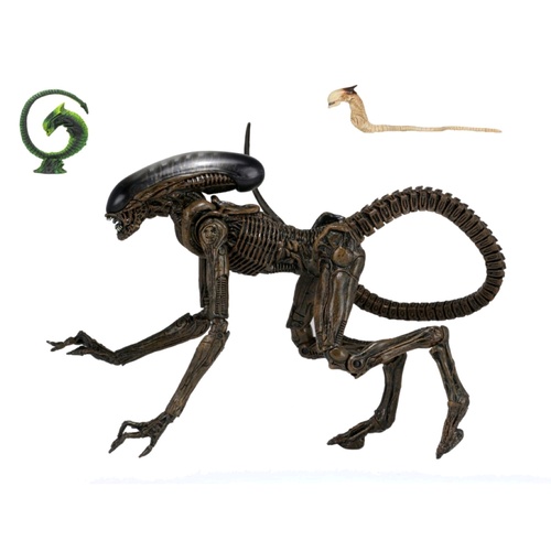 Alien - Dog Alien Ultimate 7" Action Figure