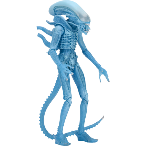 Alien - Warrior Alien Kenner 9” Action Figure (Series 11) 