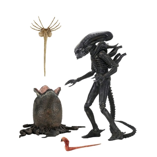 Alien 7" Scale Action Figure - Big Chap Ultimate 